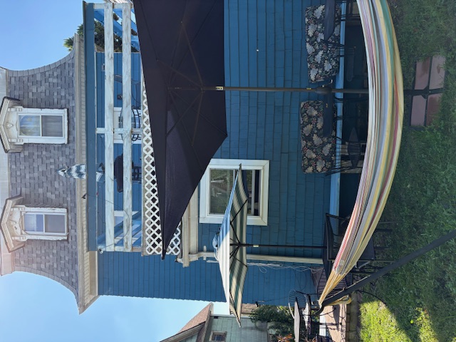 Backyard with hammock